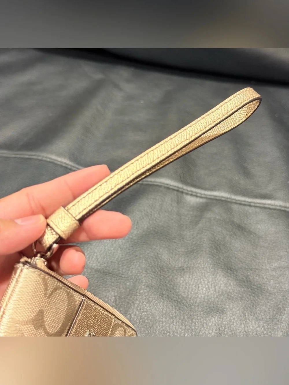 Coach Metallic Corner Zip Wristlet
